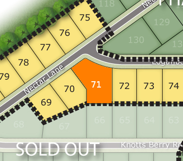 Lot 71 preview