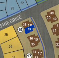 Lot 37 preview