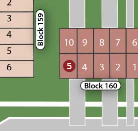 Lot 5 preview