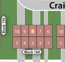 Lot 8 preview