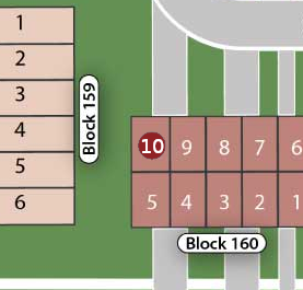 Lot 10 preview