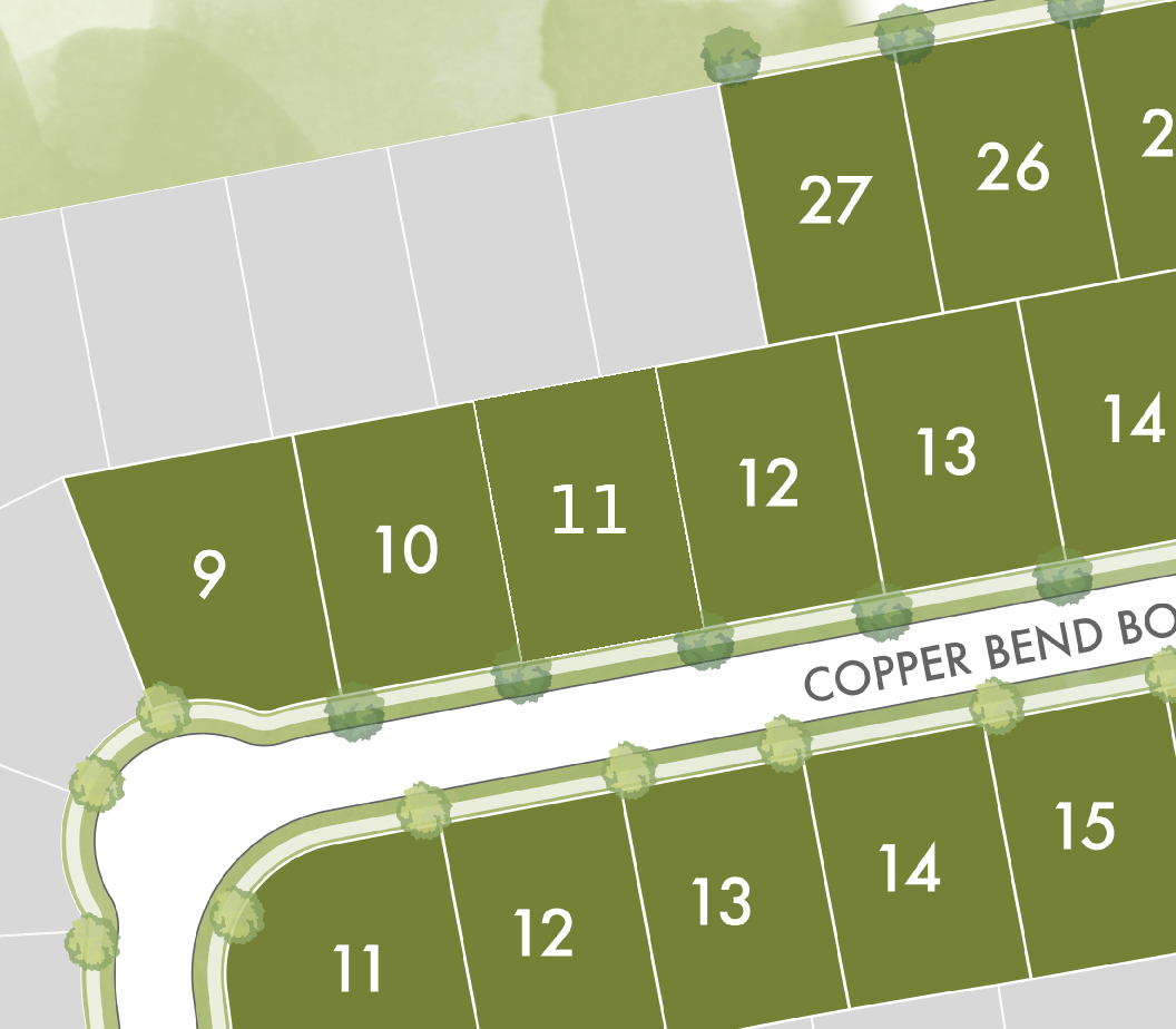 Lot 11 preview