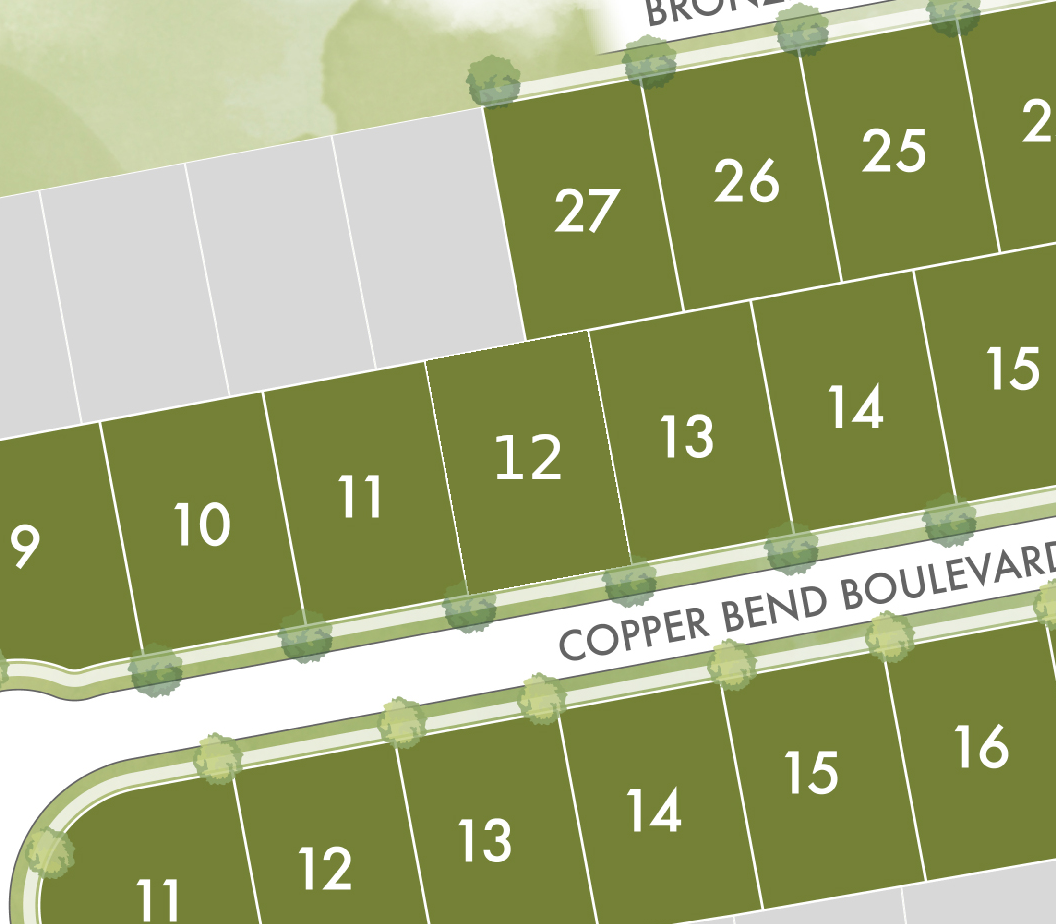 Lot 12 preview