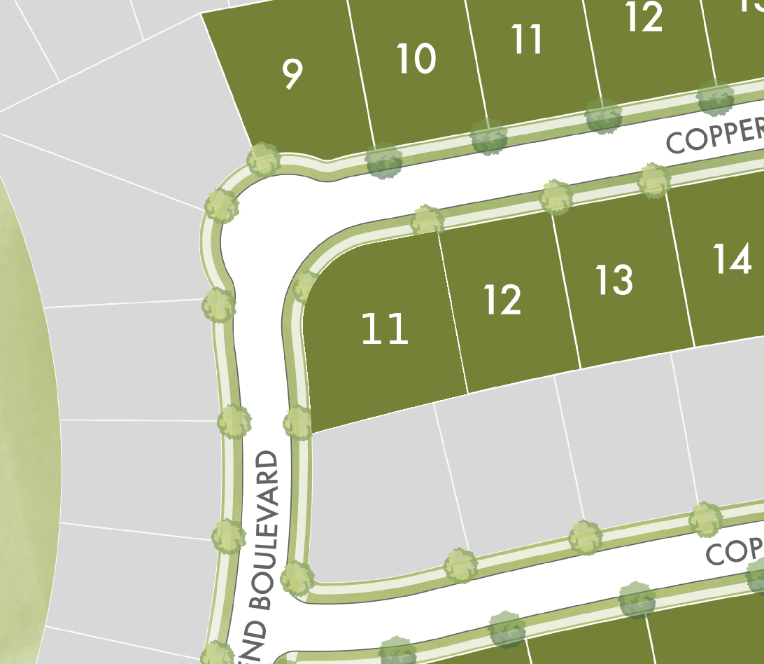 Lot 11 preview
