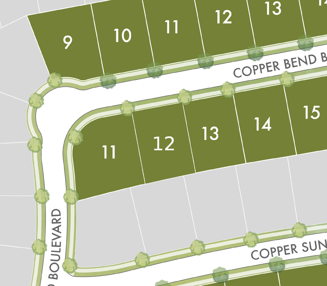 Lot 12 preview