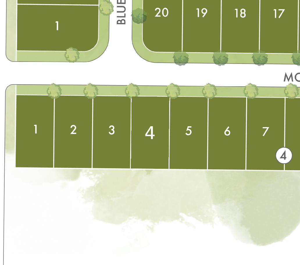 Lot 4 preview
