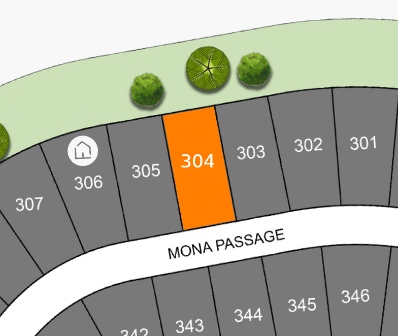 Lot 304 preview