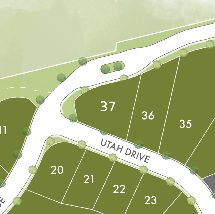 Lot 37 preview