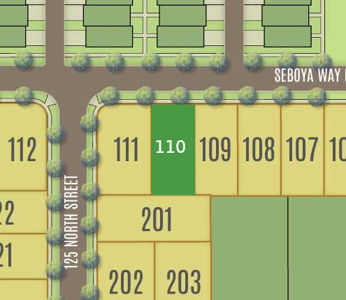 Lot 110 preview