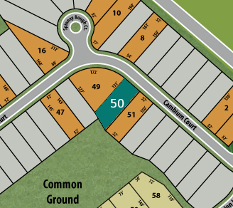 Lot 50 preview