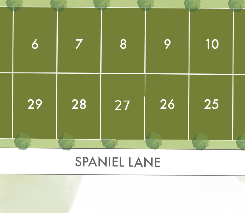Lot 27 preview