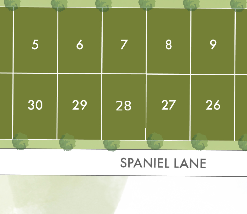 Lot 28 preview