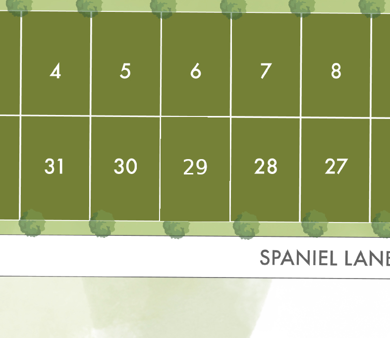 Lot 29 preview