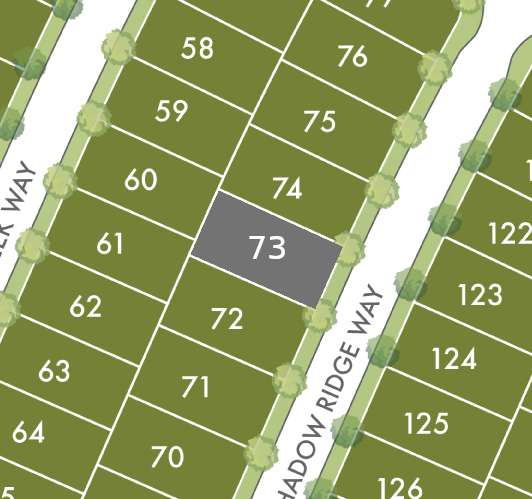 Lot 73 preview