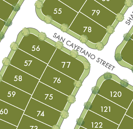 Lot 77 preview