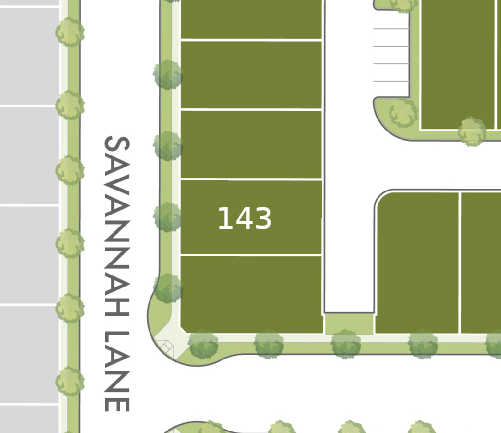 Lot 143 preview